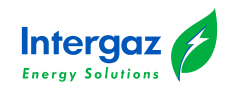 Intergaz Energy Solutions - logo